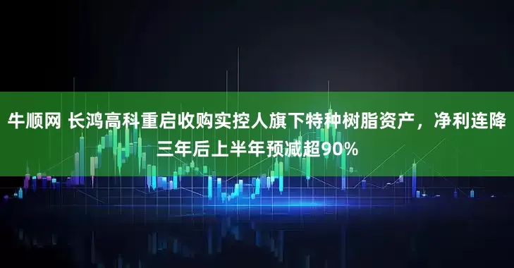 牛顺网 长鸿高科重启收购实控人旗下特种树脂资产，净利连降三年后上半年预减超90%